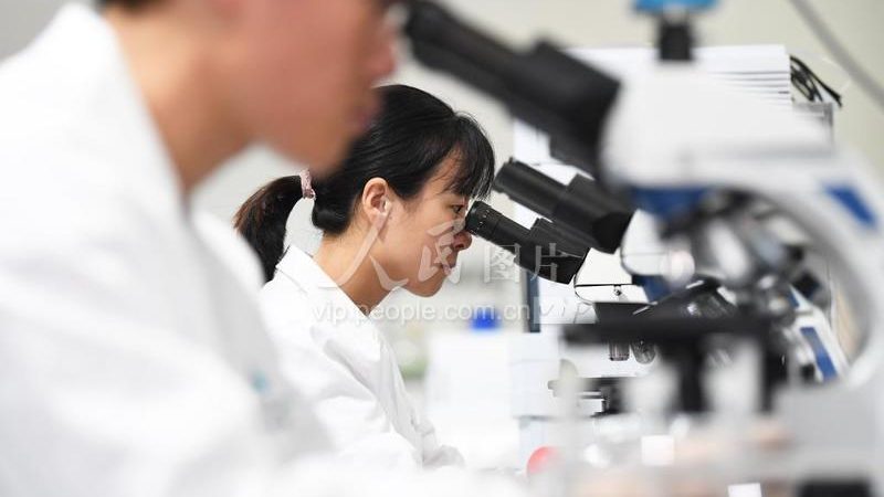 水套式与气套式细胞培养箱：揭秘两种技术的差异**