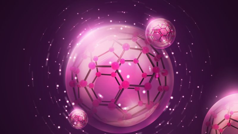 酶制剂：山东生产厂的报价解析与选购要点**