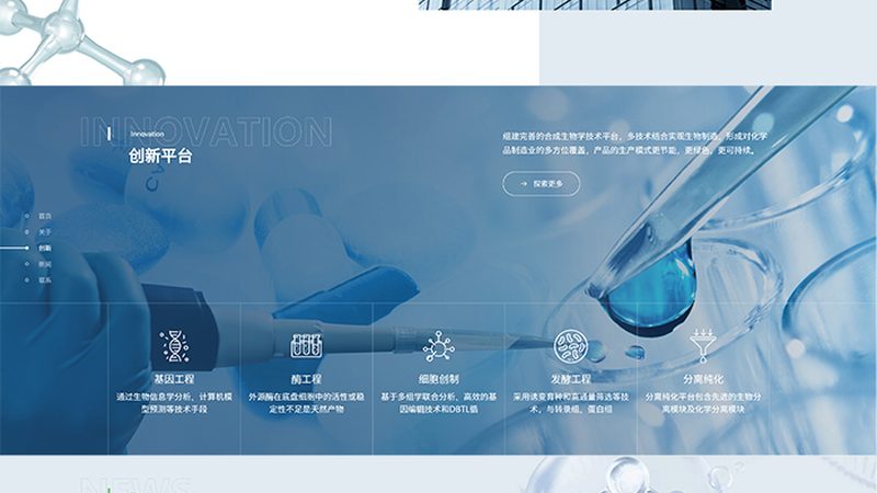 酶与酵素：揭秘两者的区别与注意事项**