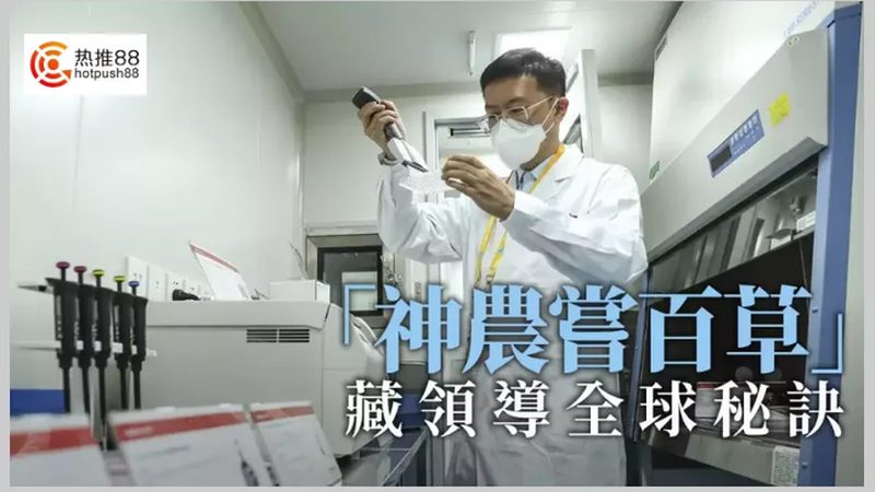临床前生物医药外包公司排名：揭秘行业选择之道**