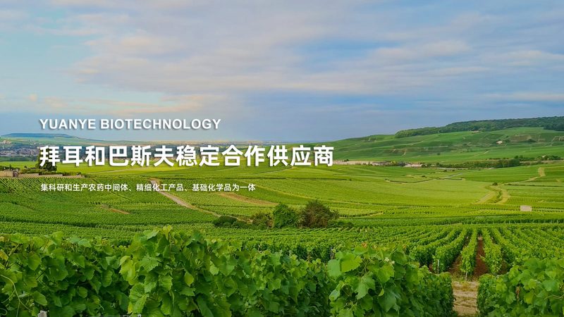 PCR采样后，结果出炉的时间揭秘