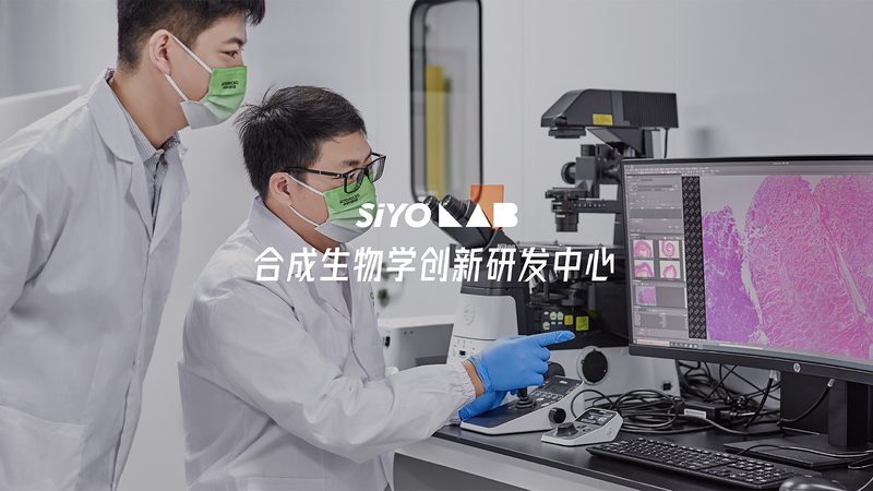 评估方法：多维度的考察