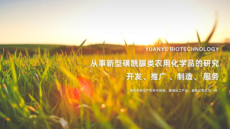 科研用细胞工厂：揭秘其核心要素与选型要点**