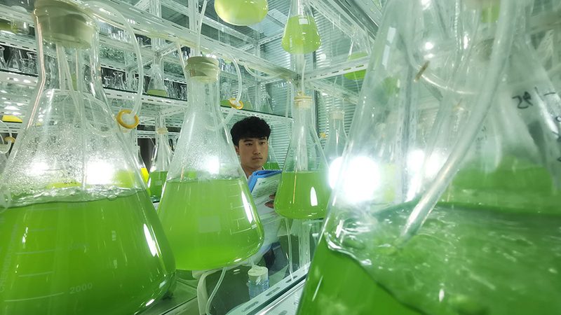生物医药外包服务：行业标准揭秘与解读